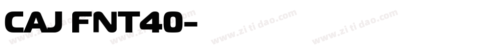 CAJ FNT40字体转换